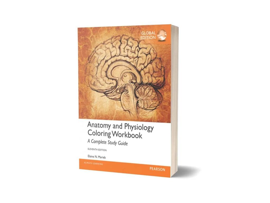 Anatomy and Physiology Coloring Workbook 12th Edition By Elaine N. Marieb