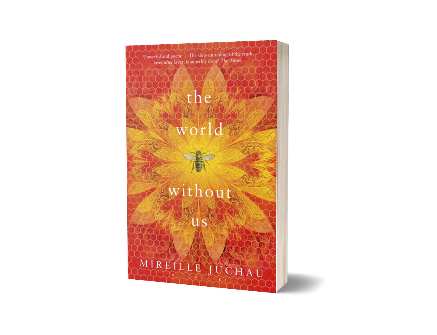 The World Without Us Book By Mireille Juchau